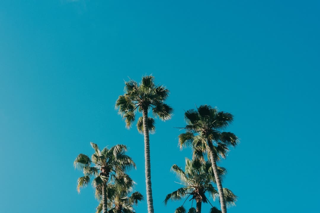 小酒窝回应暑假赚奶粉钱 直言自己现在不吃奶粉