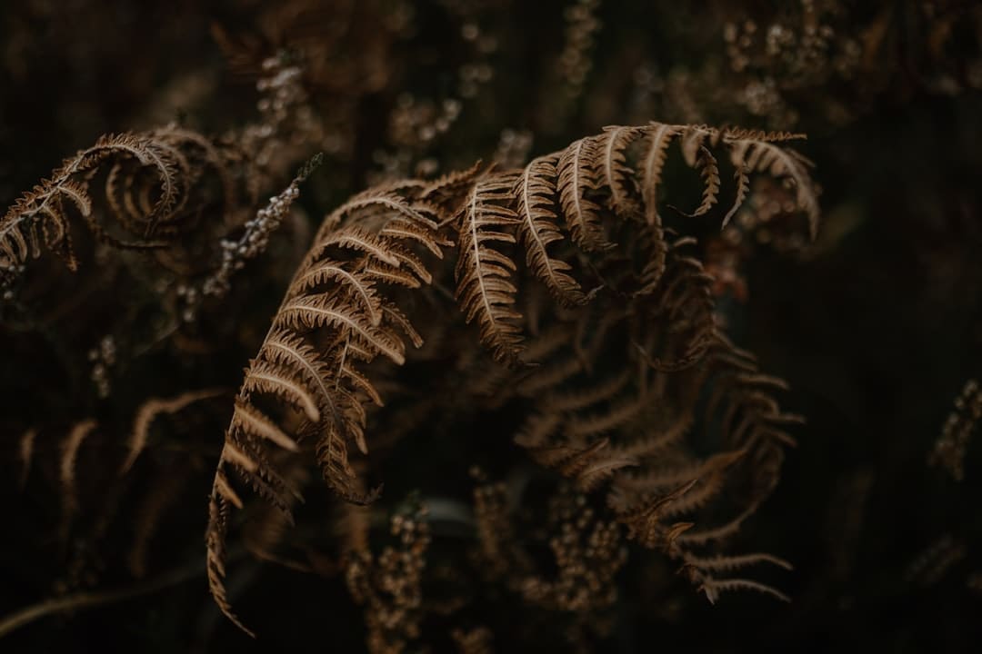 小酒窝回应暑假赚奶粉钱 直言自己现在不吃奶粉